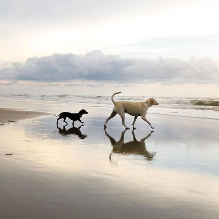 Spoonbill Cottage Filey Buitenkant foto